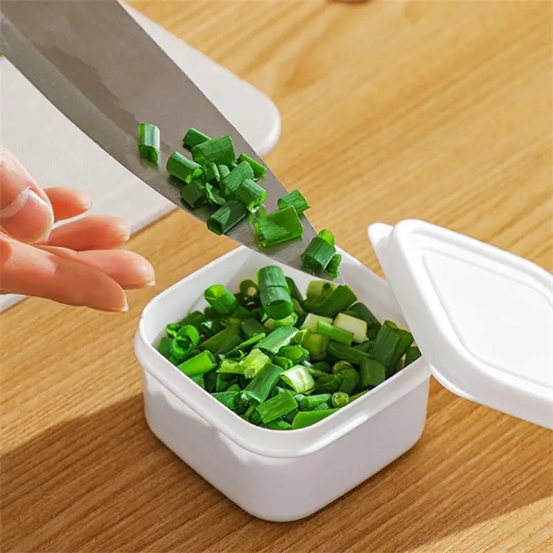 Mini Portable Food Storage Box Kitchen Refrigerator Meat Sealed Fresh Box Plastic Fridge Kitchen Organizer Lunch Containers