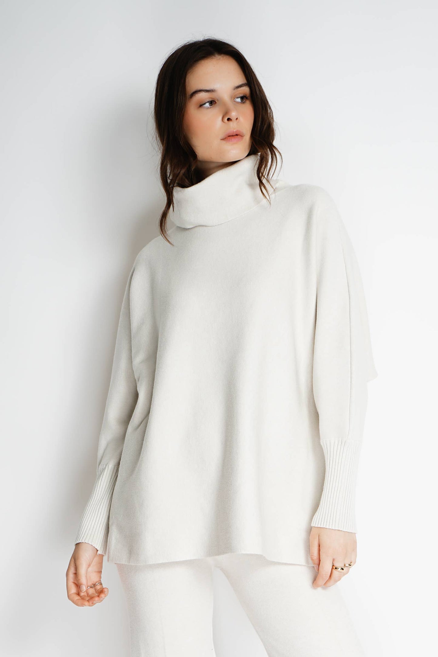 Oversized turtleneck sweater